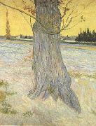 Vincent Van Gogh Trunk of an old Yew Tree (nn04) Spain oil painting artist